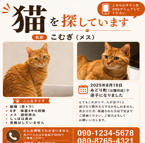 情報整理型チラシ